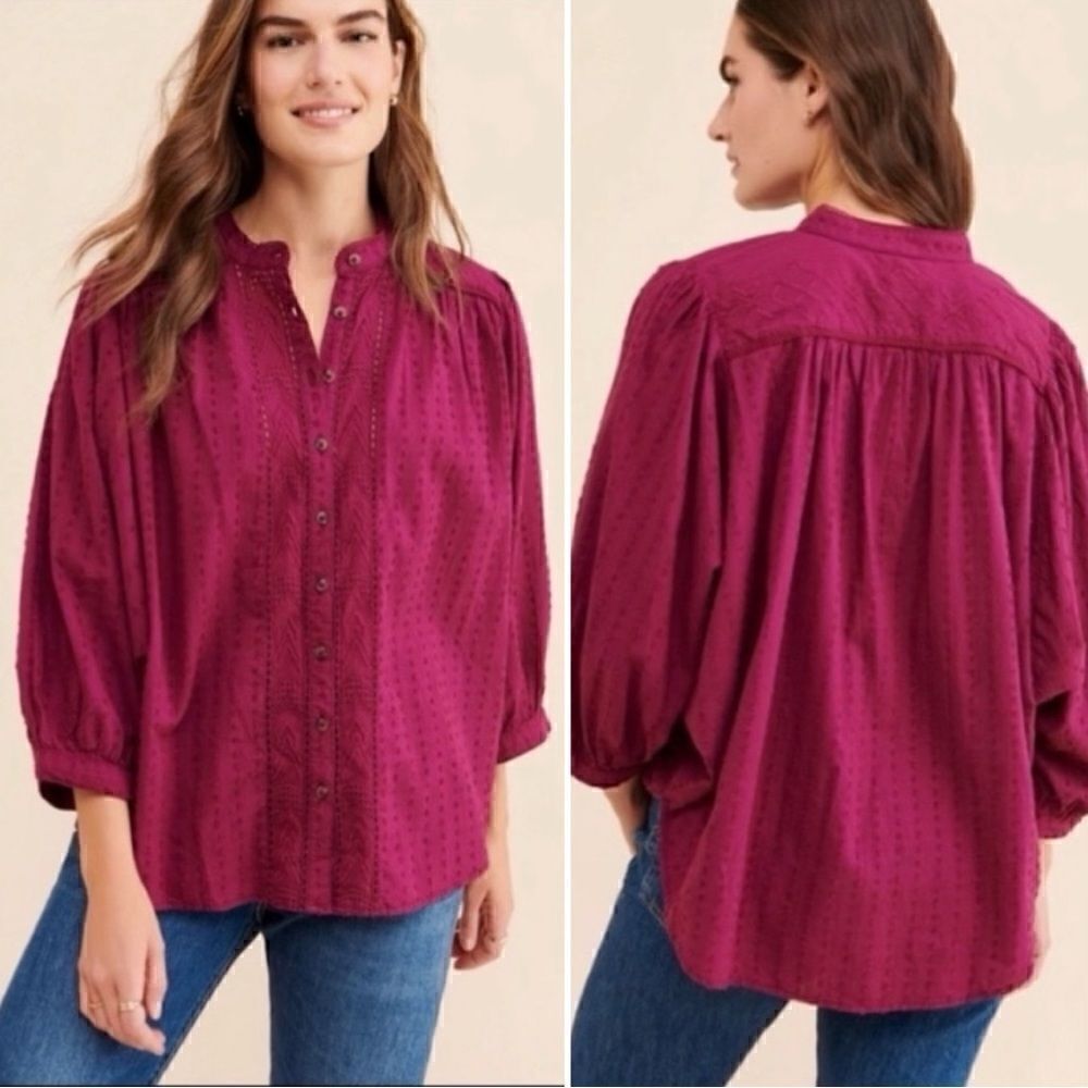 Anthropologie Pilcro Tavi Boho Embroidered Button Down Top